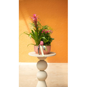 CESTA FUCSIA
