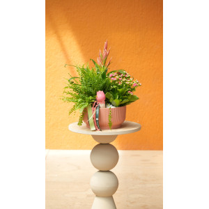 CESTA ROSA